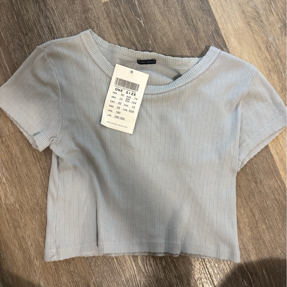 NWT Brandy Melville t shirt